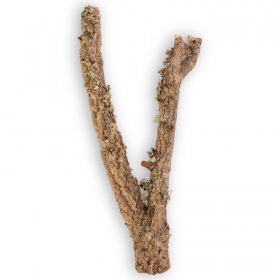 Solid Cork Oak Tree 40cm - Great for Reptiles